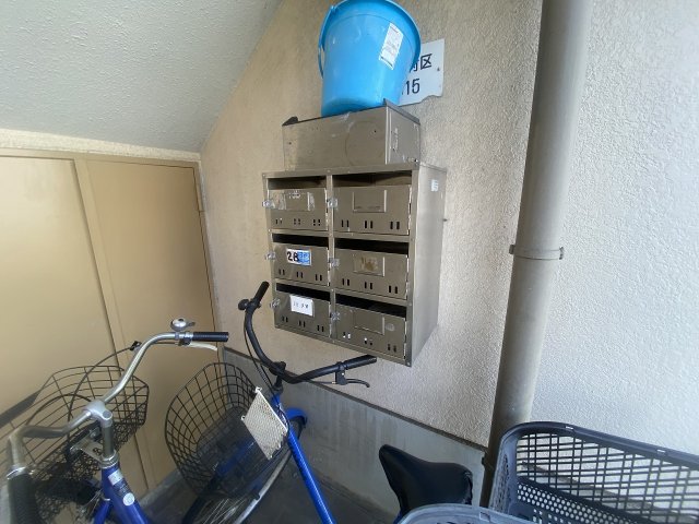 20/30 その他画像