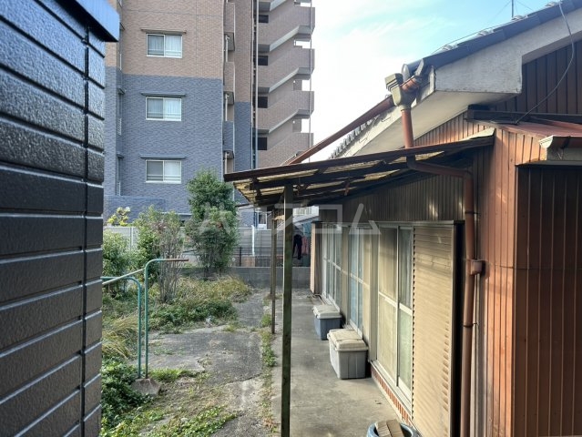 20/30 その他画像