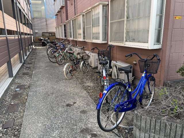 その他共有