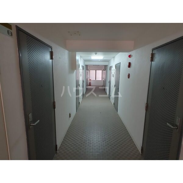 5/17 その他画像