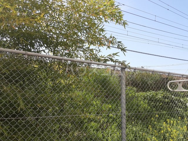 13/30 その他画像