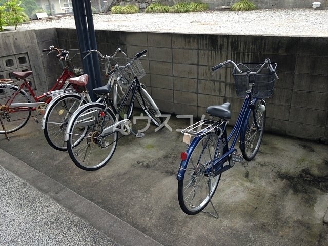 16/19 その他画像