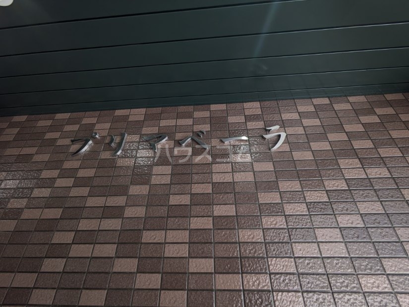 8/14 その他画像