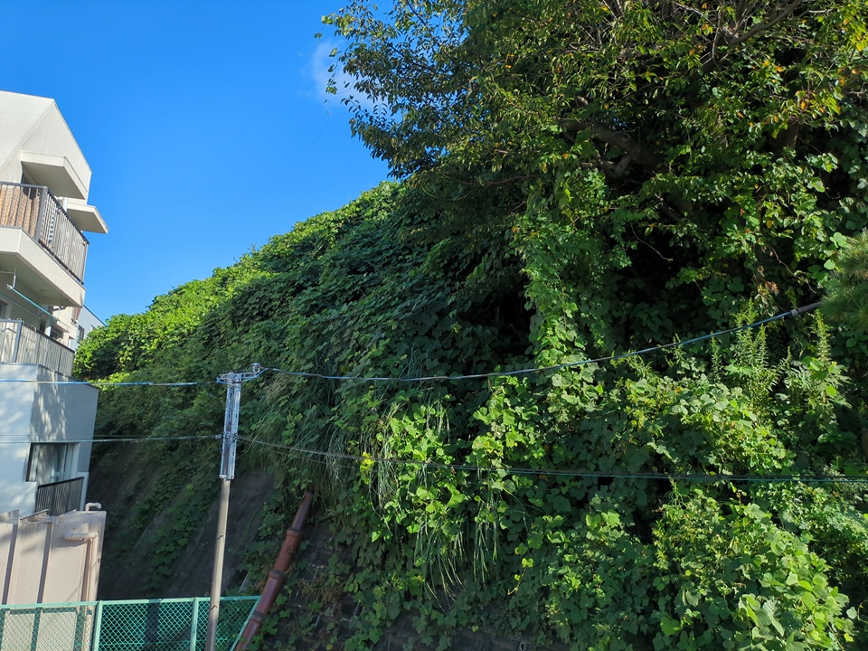 16/22 その他画像