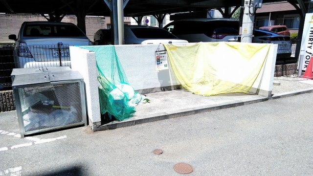 20/30 その他画像