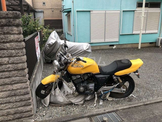 20/30 その他画像