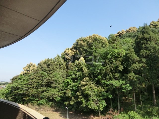 18/23 その他画像