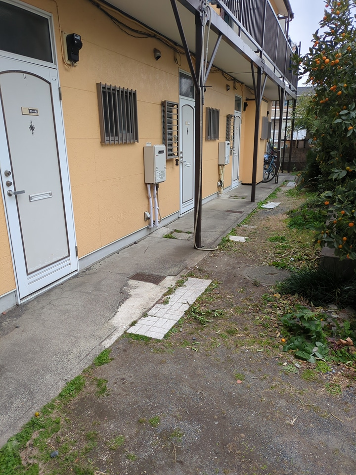 26/29 その他画像