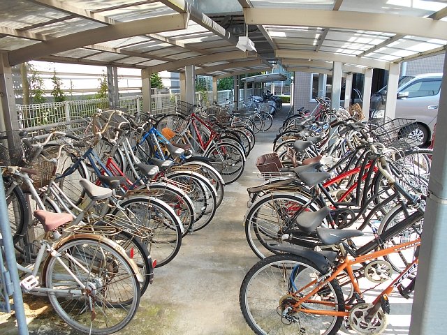 16/24 その他画像