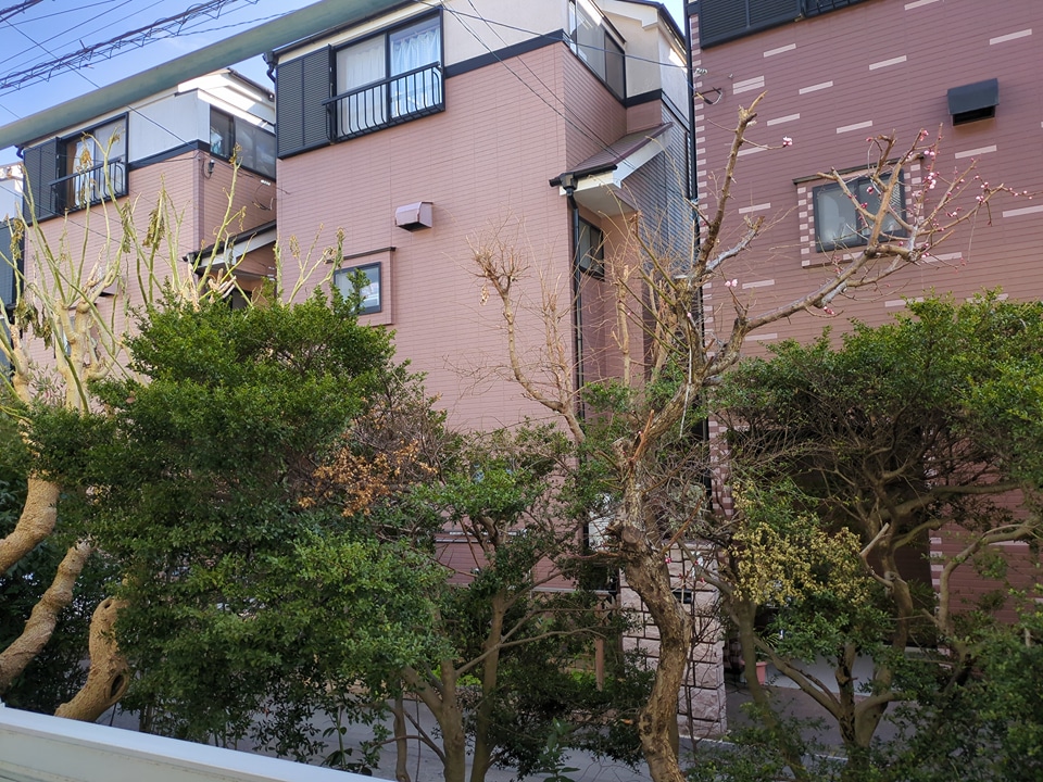 17/30 その他画像