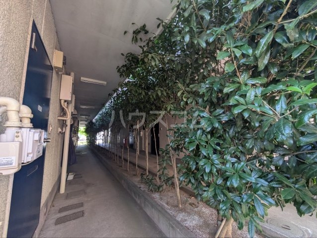 18/21 その他画像