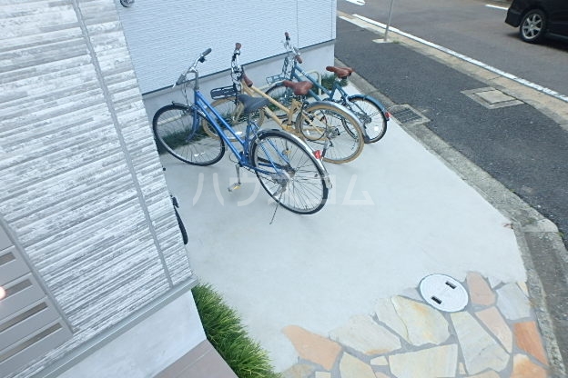 20/30 その他画像