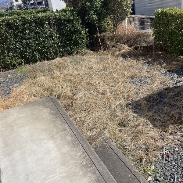 11/18 その他画像