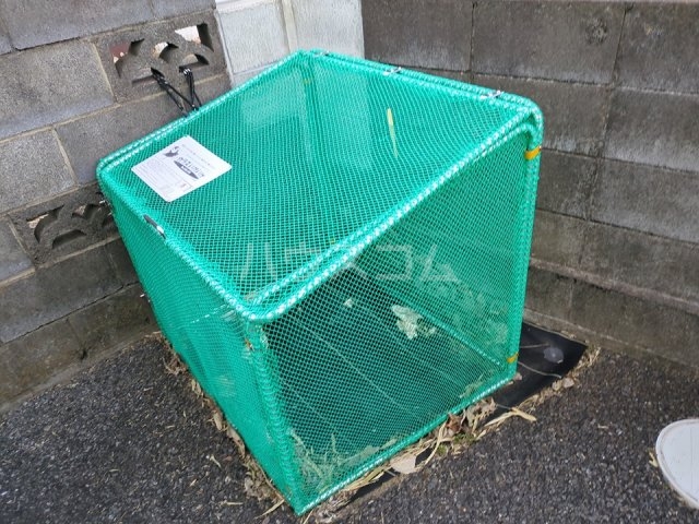 15/24 その他画像