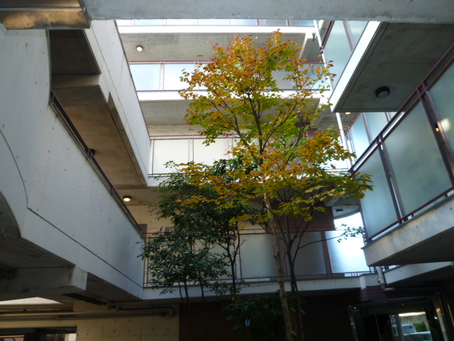 18/26 その他画像