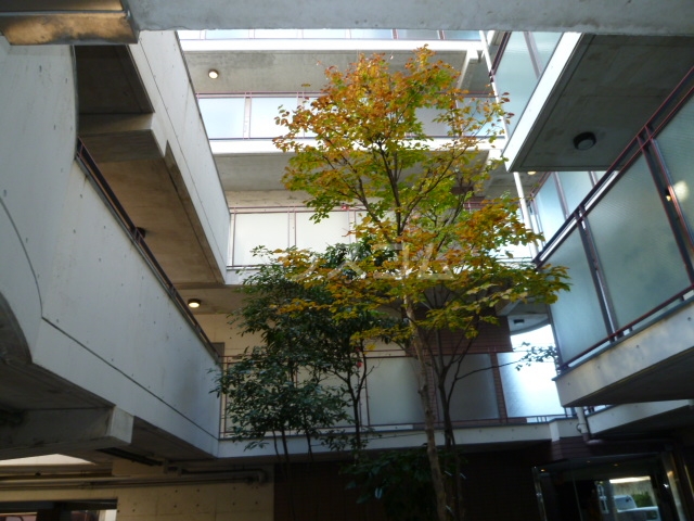 21/26 その他画像