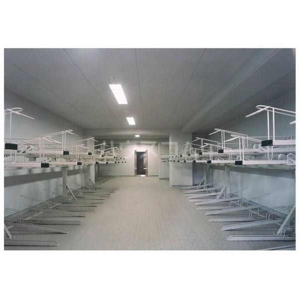 5/21 その他画像