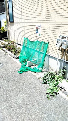 17/30 その他画像