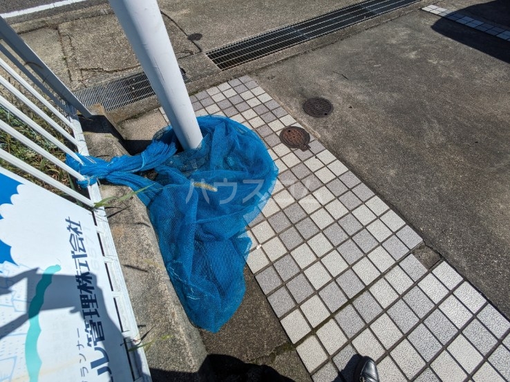 14/22 その他画像