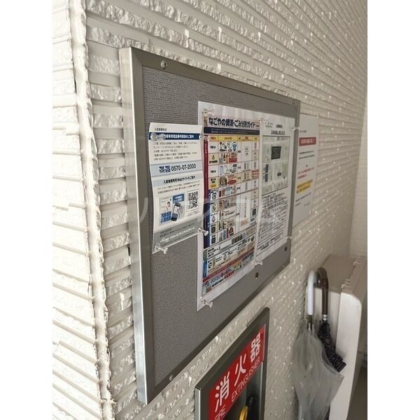 15/25 その他画像