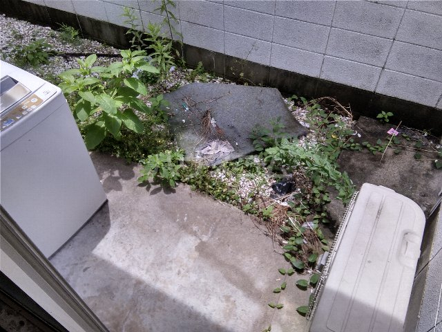 15/24 バルコニー