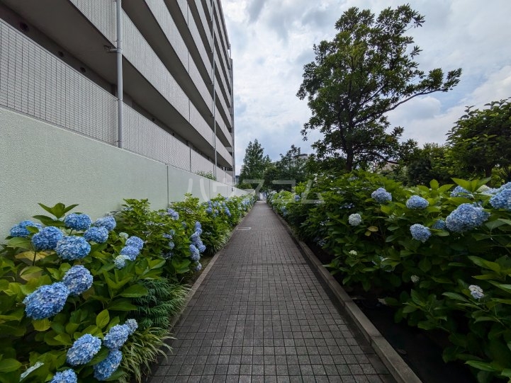 14/24 その他画像