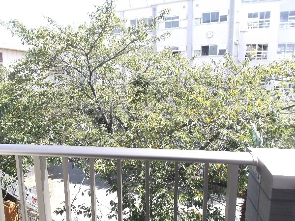 15/30 その他画像