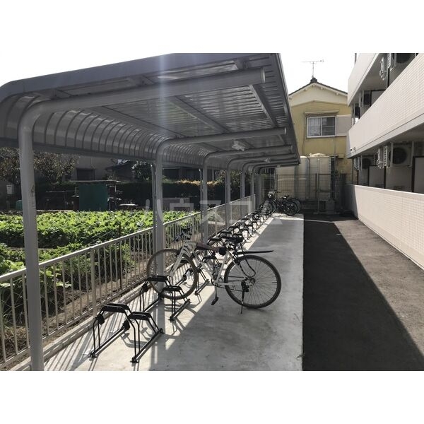 20/30 その他画像