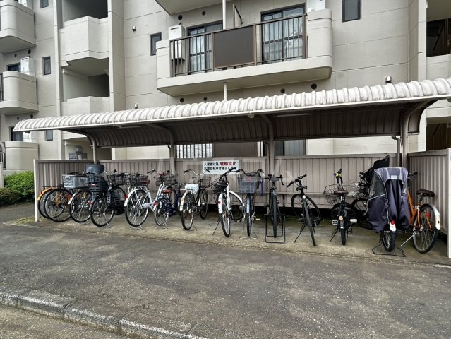 その他共有