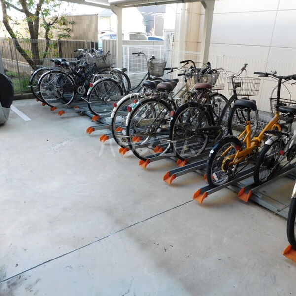 5/19 その他画像