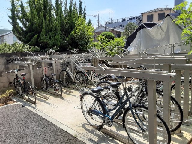 25/29 その他画像