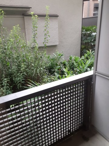 12/21 バルコニー