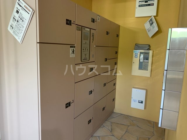 20/30 その他画像