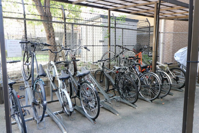 15/25 その他画像