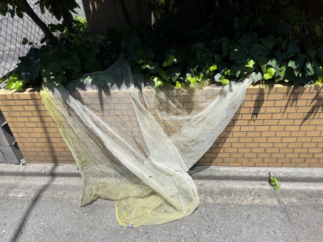 19/28 その他画像