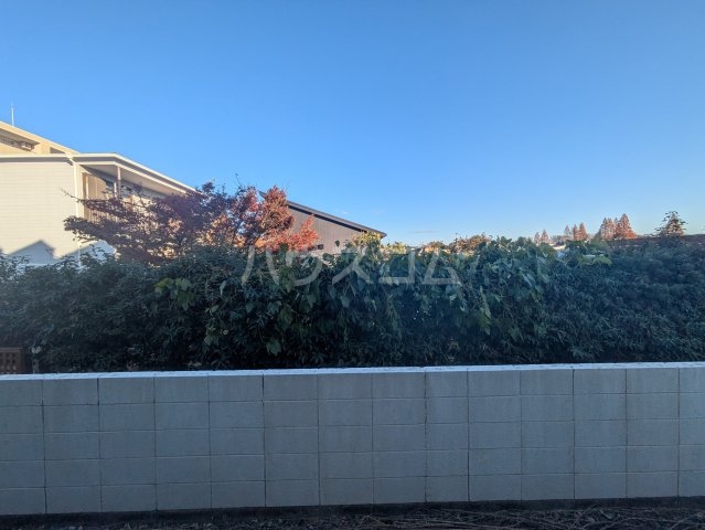 13/22 その他画像