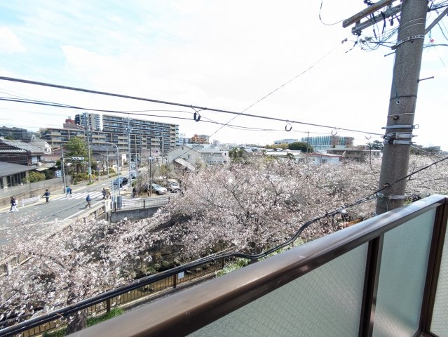 13/24 その他画像