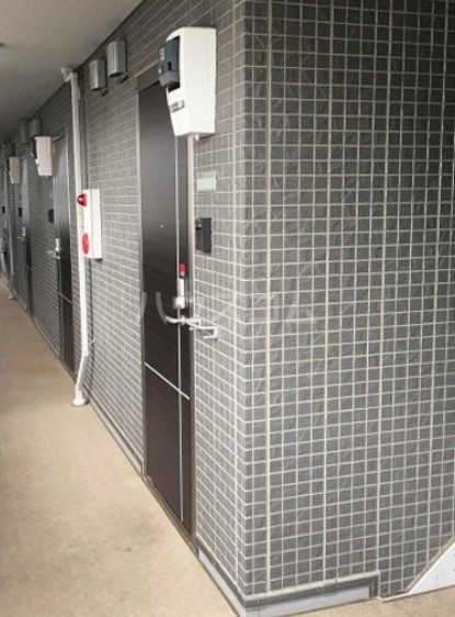 5/21 玄関