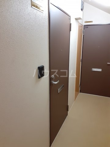 25/30 その他画像