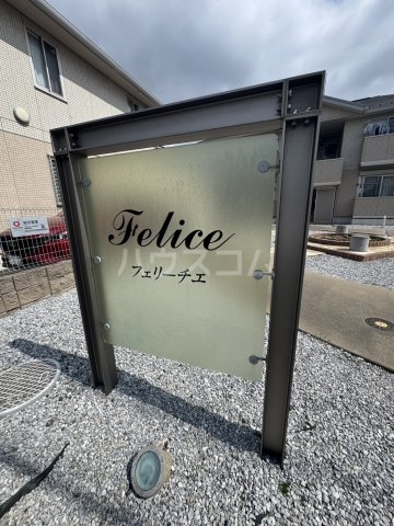 8/19 その他画像