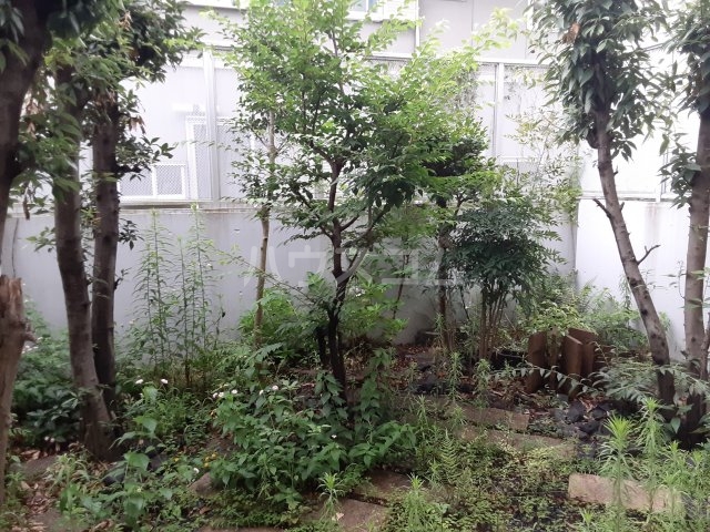 21/30 その他画像