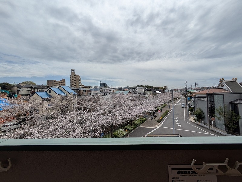 20/30 その他画像