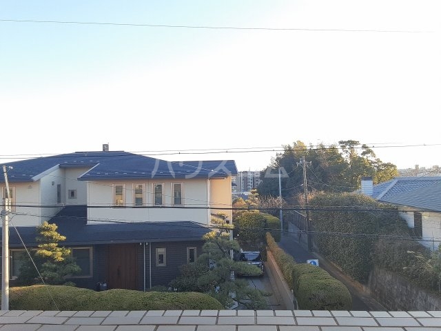 20/30 その他画像