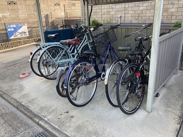 17/30 その他画像