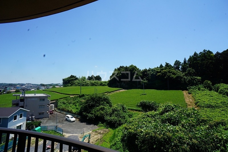 17/23 その他画像