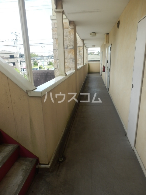 20/30 その他画像