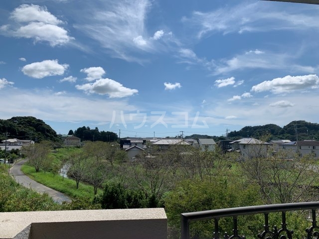 17/29 その他画像