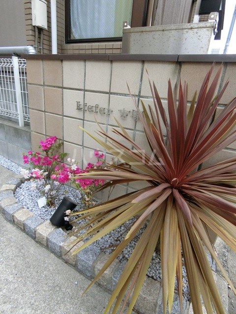 14/25 その他画像