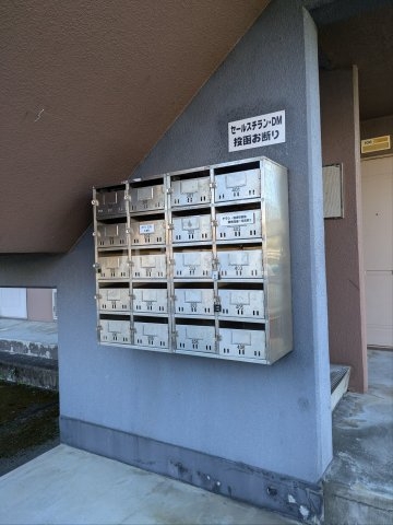 20/30 その他画像