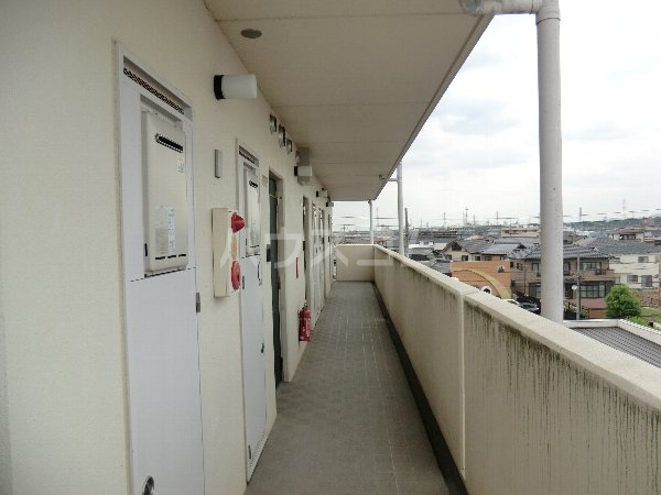 19/29 その他画像